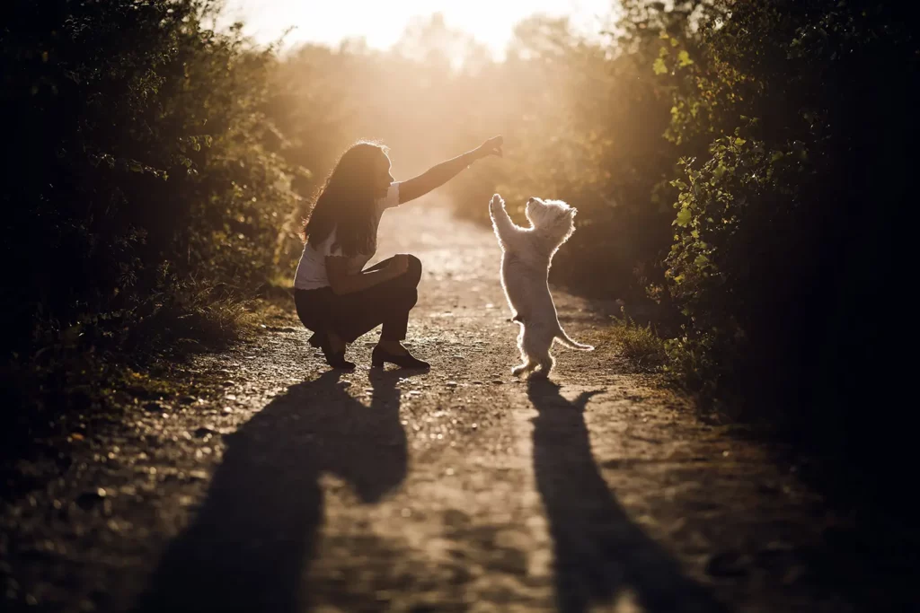 photographe seance photo chien lyon