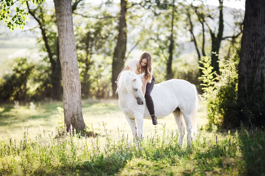 photographe equin lyon
