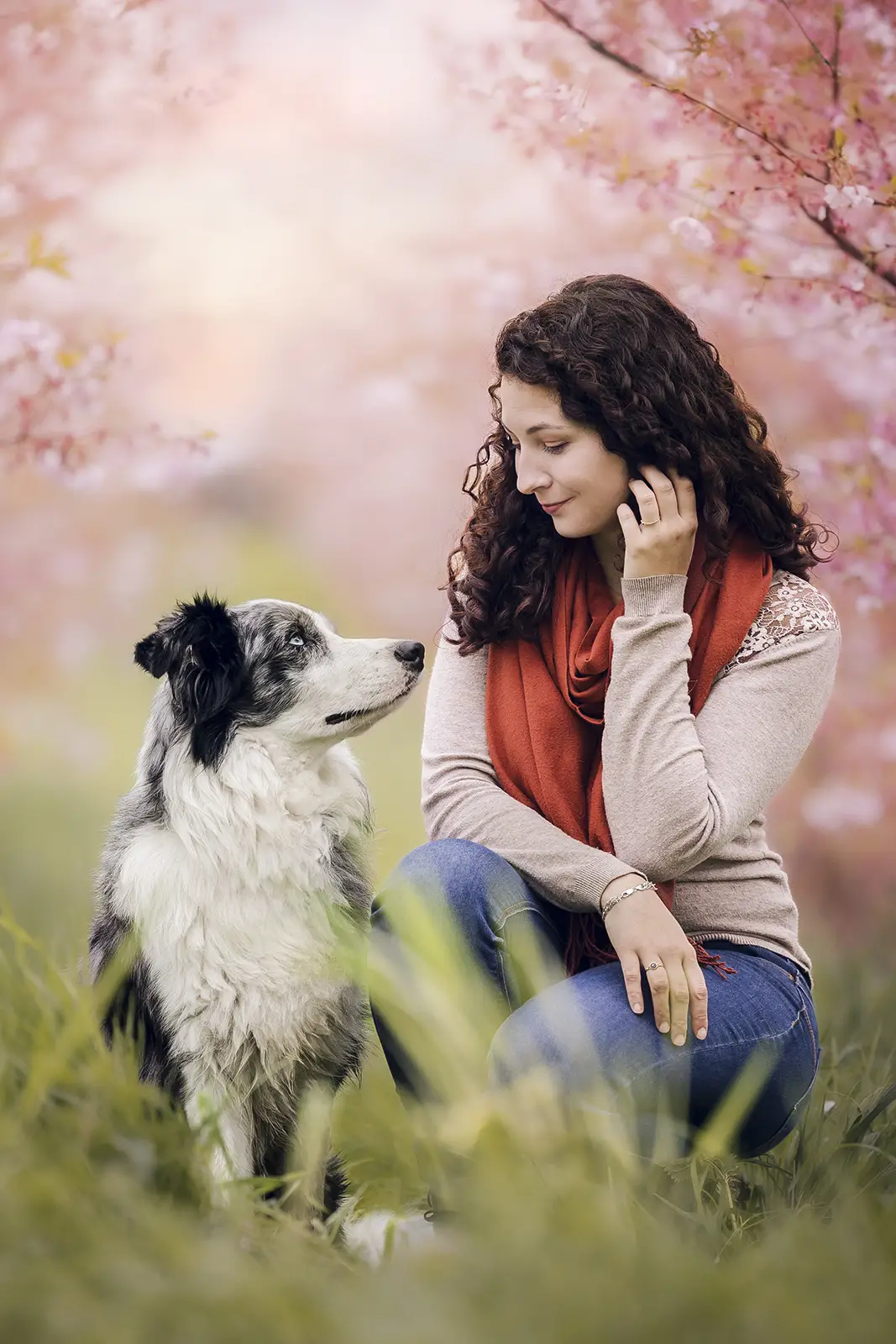 formation photo animalière
