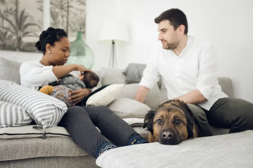 seance photo naissance a domicile avec le chien